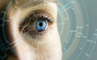 How the Brain Reallocates Sensory Processing After Hearing Loss
