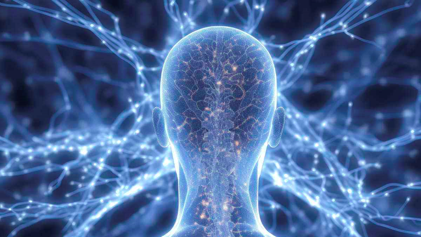 How the Brain Reallocates Sensory Processing After Hearing Loss
