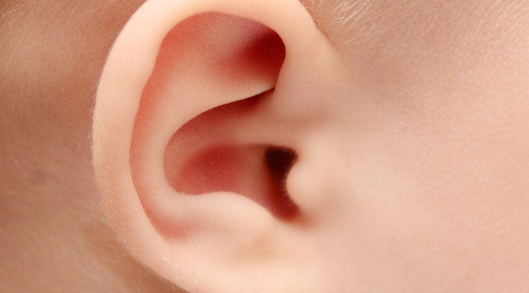 Sensorion Reports Early Data from the SENS-501 Audiogene Trial