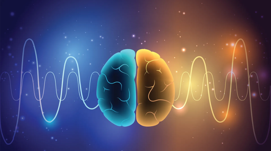 FREQ-NESS Maps Frequency-Specific Brain Networks During Sound Processing